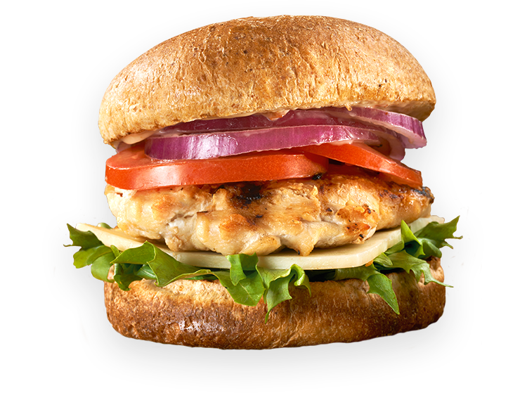Grilled chicken sandwich on a bun with lettuce, cheese, tomatoes and onions